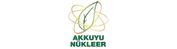 Akkuyu Nükleer