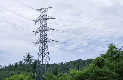 The Importance in Energy Grids